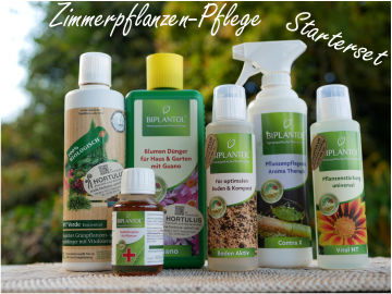 Weck ist Kult. Dekoideen mit Weckgläser Elegante Glasglocken – ideal als Pflanzenschutz im Garten oder stilvolle Präsentationshaube im Haus.