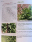 Preview: Das große Biogarten-Buch