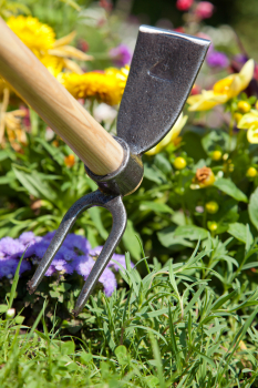 Gartenhäckchen mit langem Stiel