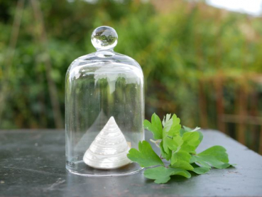 55+ Glasglocken Garten, Entdecken sie die vielseitigkeit meiner