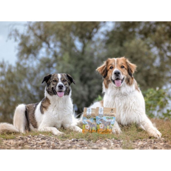 Hunde mit Zeckenschutztüte durch Complete Zecken Snack