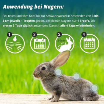 marsavet - Spot On Hunde