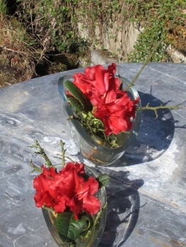 Glasschiffchen Set