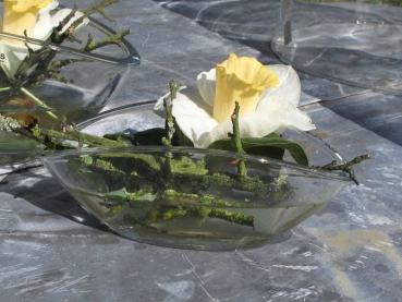 Glasschiffchen klein