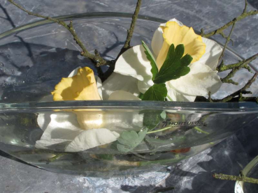 Glasschiffchen groß
