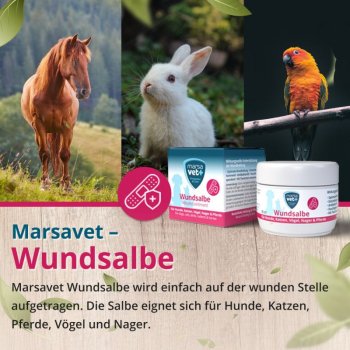 Bellfor Wundsale