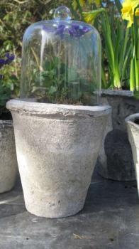 Kleiner Glasdome