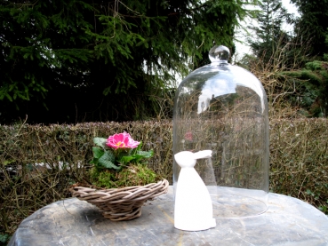 Anzuchthauben Glasglocken HortulusUphoff