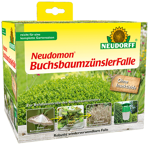 Buchsbaumzünsler Lockstoff-Falle Buchsbaumzünsler Lockstoff-Falle