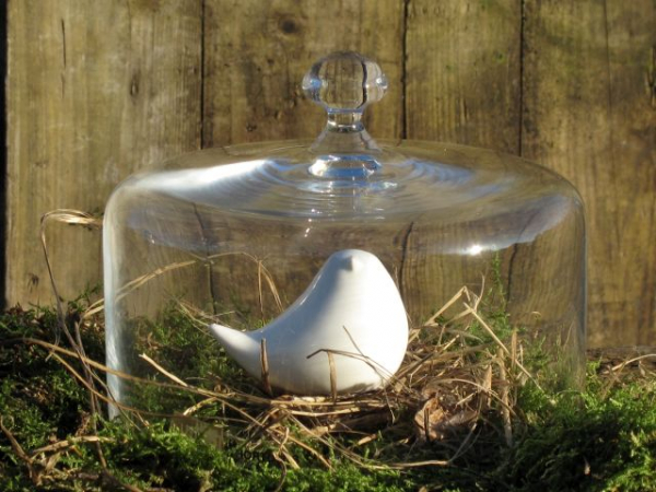 Glashaube Irene