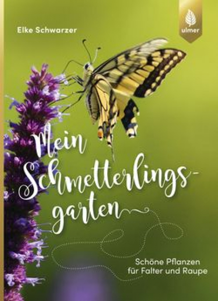 Mein Schmetterlingsgarten von Elke Schwarzer