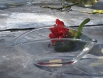 Schönes für Haus und Garten HortulusUphoff